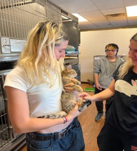 student holding a cat from the animal shelter while another student pets the cat and a third student looks on