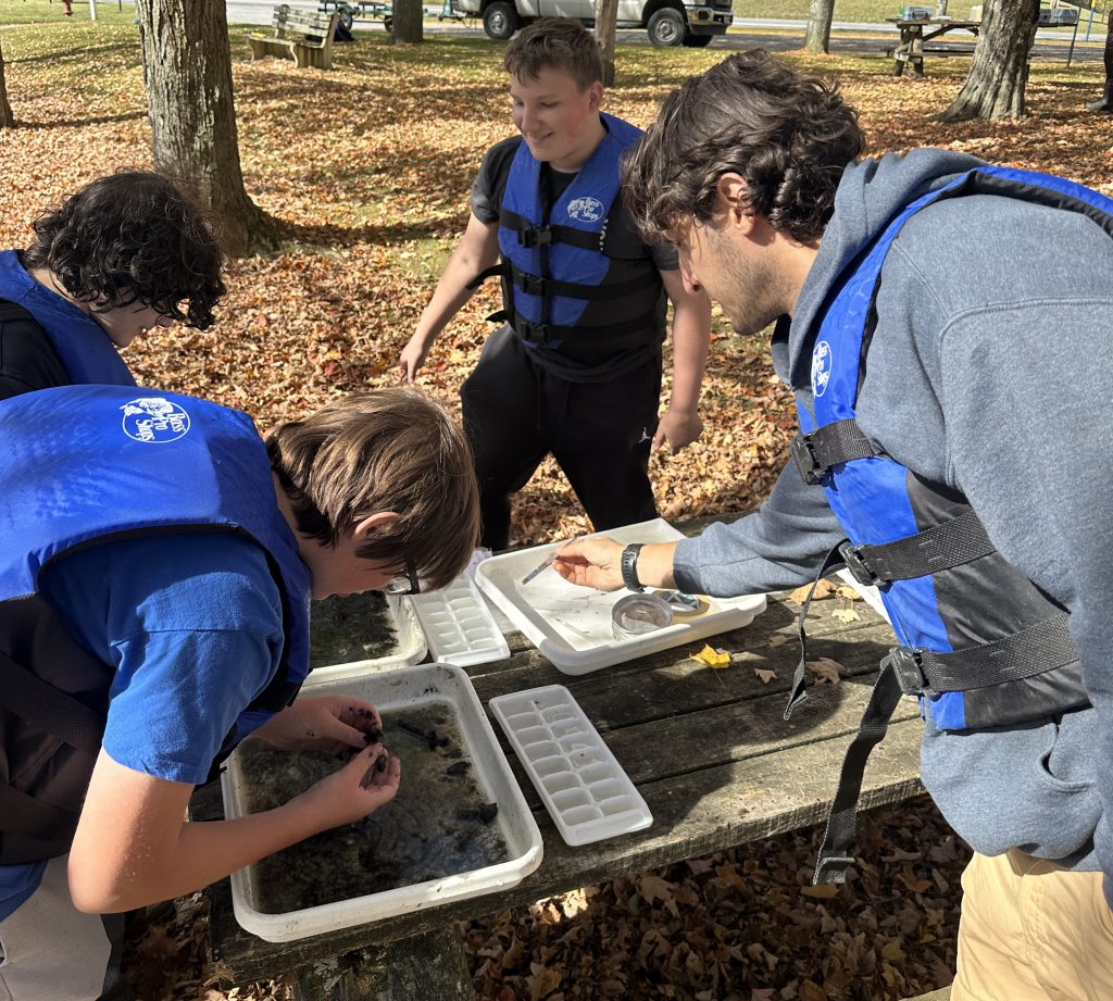 students sift through pond samples