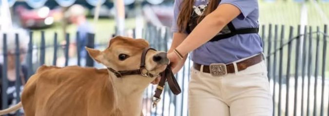 Freshman Korona Featured by New York FFA Association
