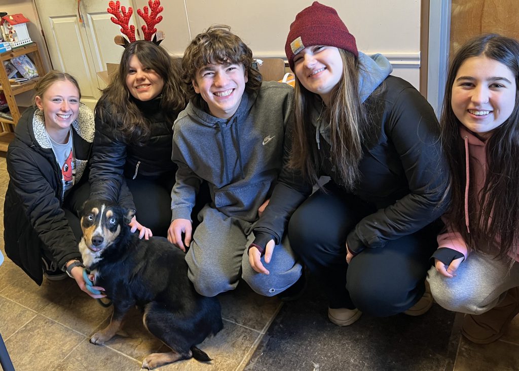 group of students meet a new puppy at animal shelter