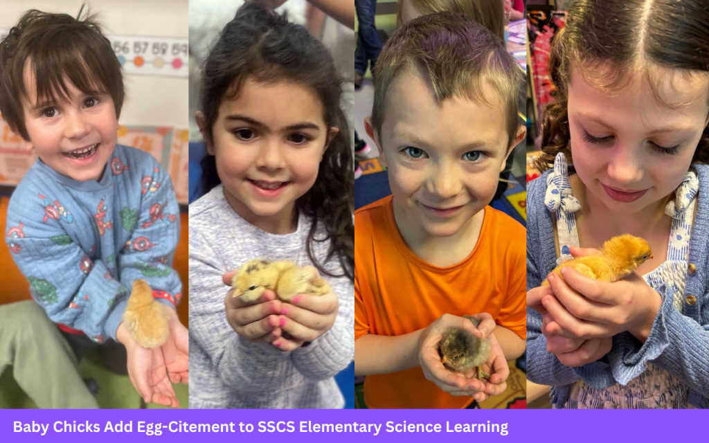 four kids hold baby chicks in their hands